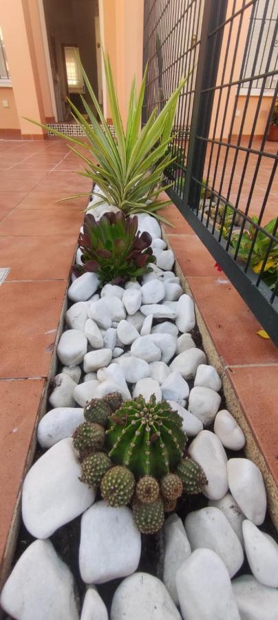 Villa Terreros San Juan de los Terreros Exteriör bild